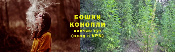 мет Кукмор