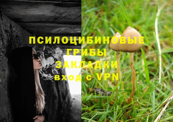 тгк Кулебаки
